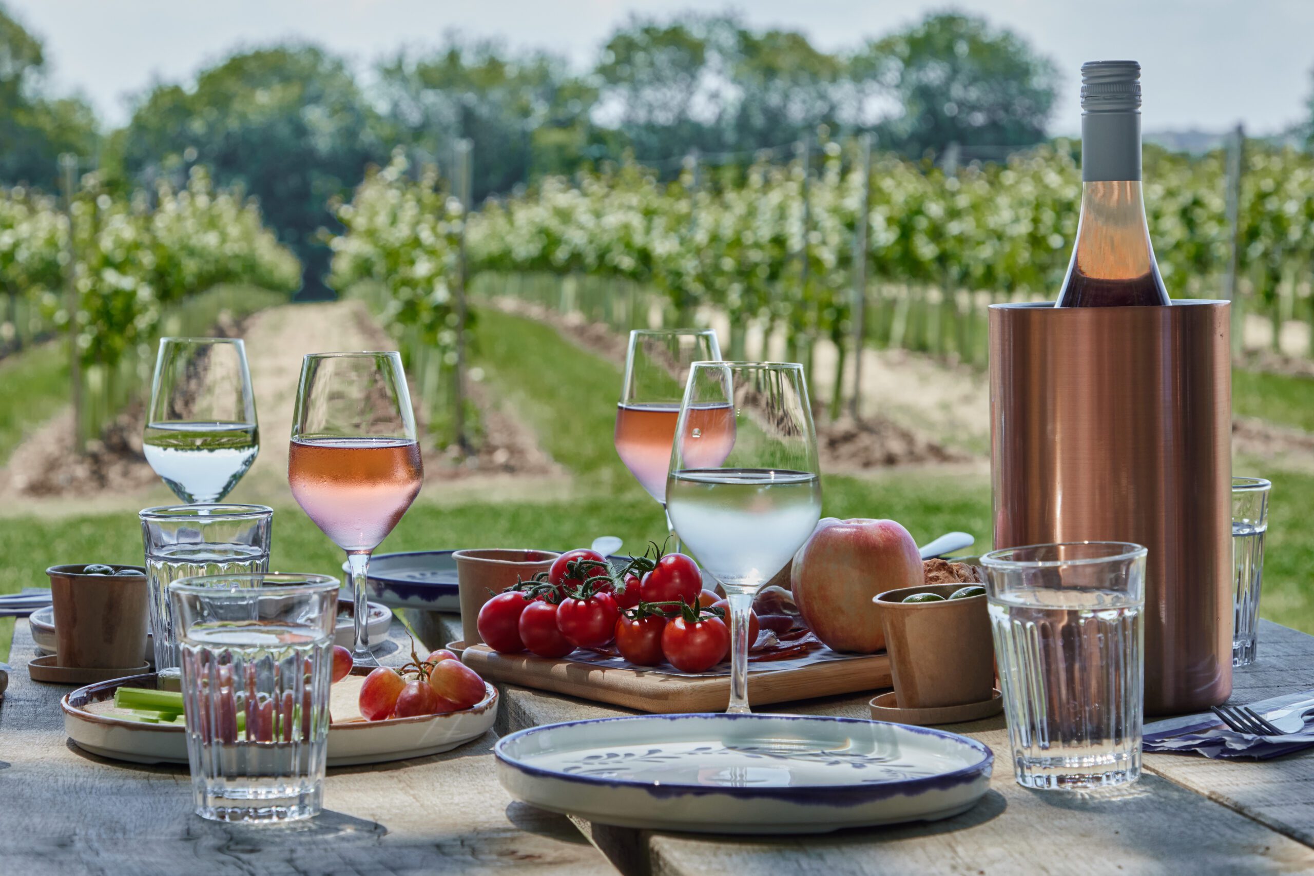 picnic in the vineyard