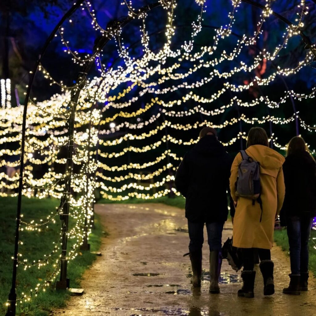 festive display of lights for the christmas period